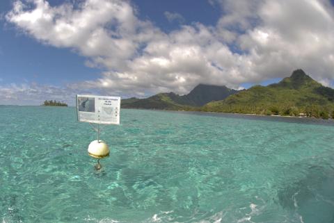 Le lagon de Moorea, un panneau d'information de zone réglementée près d'une bouée, les montagnes en fond