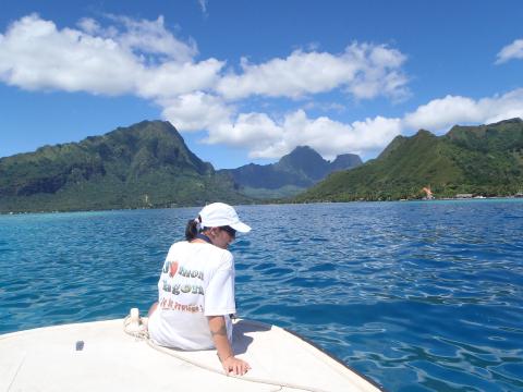 Un membre de l'association à la proue d'un bateau, face aux montagnes de Moorea